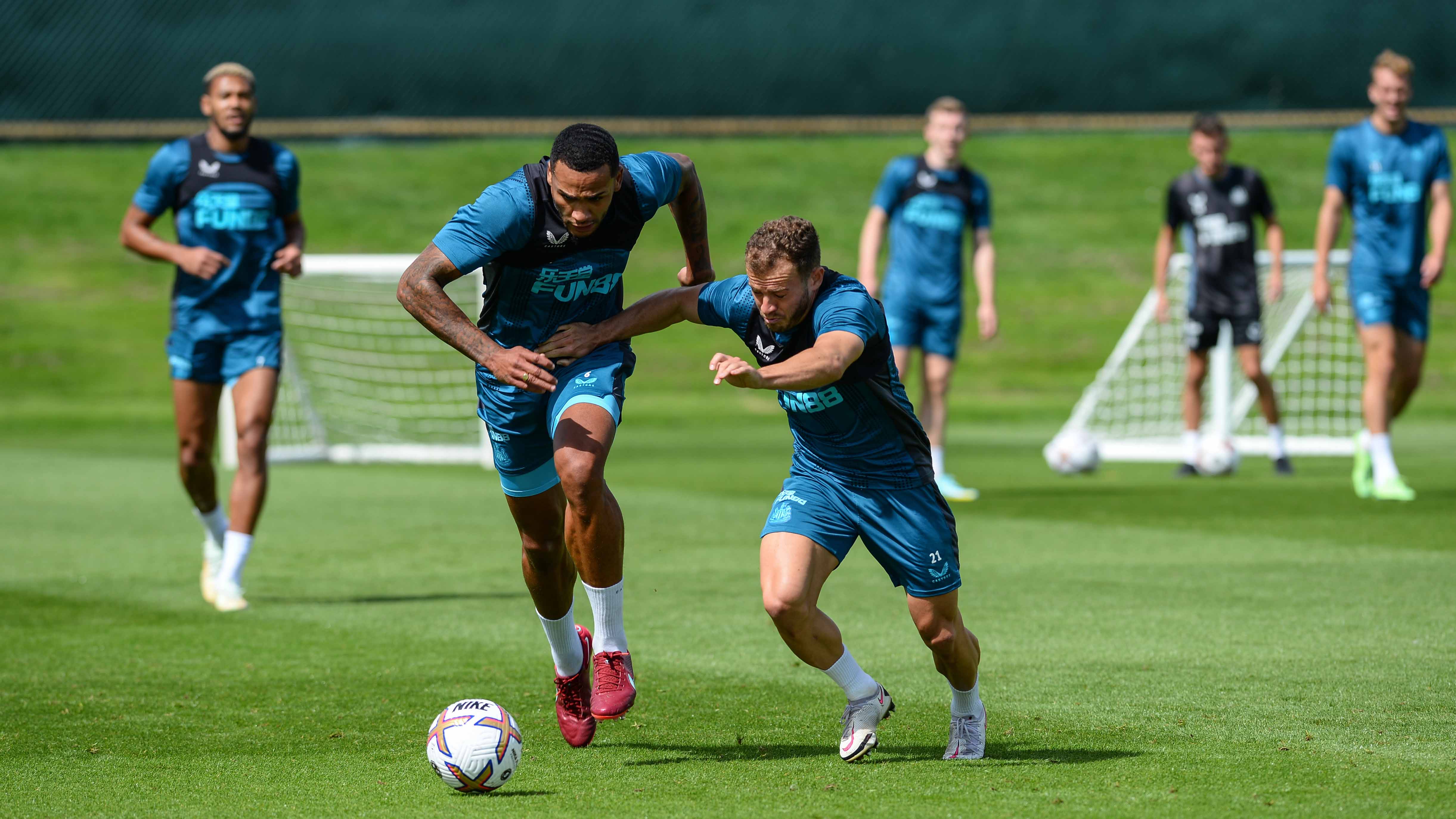 Toon in training: Fired up for Forest